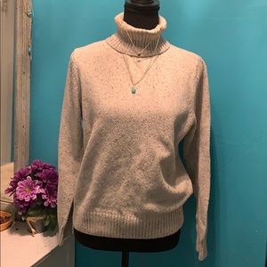 🔥3/$20 Croft and Barrow Turtle Sweater